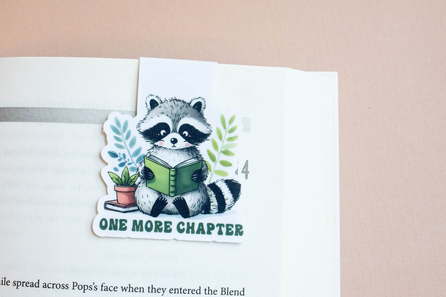 Reading Raccoon Magnetic Bookmark